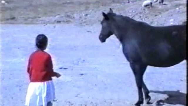 Гордая прелесть Эльбруса смотреть онлайн