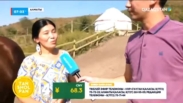 Жаңа сауылған бие сүті . Саумал . Қымыз . Парное кобылье молоко