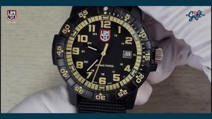 Luminox Sea Turtle Giant 0320 Series 0333 Watch Review