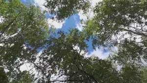 Поездка в Башкирию 2020г. Вспоминаем добрые времена.