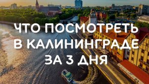 Что посмотреть в Калининграде за 3 дня