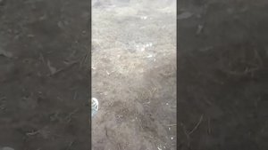 Делаем футбольное поле из обычного сельского поля(^_-)(^o^)