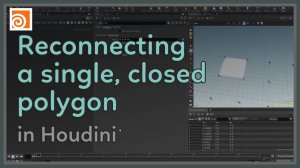 20 Reconnecting a Single Closed Polygon in Houdini