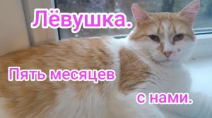 Лёвушка. Пять месяцев с нами.