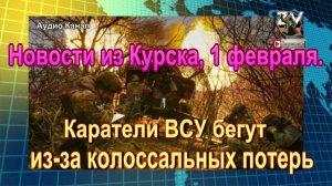 Сводка из Курска, на вечер 1 февраля. Каратели ВСУ бегут из-за колоссальных потерь