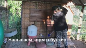 Профессиональная шнековая кормушка для кур и других сельскохозяйственных животных .