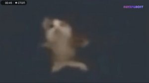 ШНИ ШНА ШНАПИ ШНАПИ ШНАПИ ШНА😂😂😂