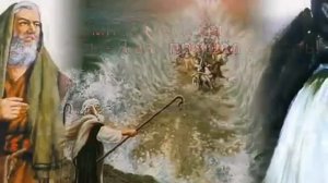 В дикой пустыне