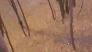 Дроп Любви Денис Чудовище 2010