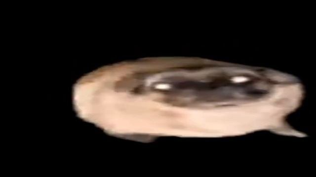 ТАНЦУЮЩИЙ ПЁС 1 ЧАС (SLOWED)