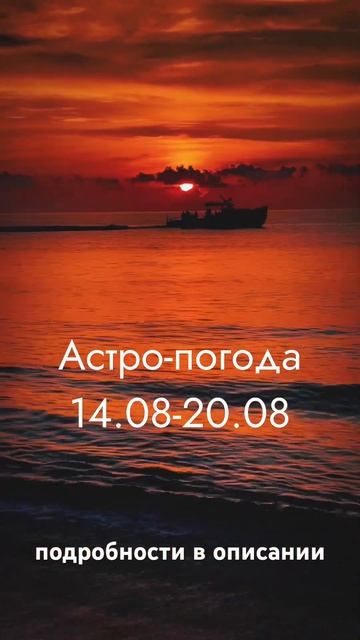 #астрология #лето2023 #астрологияжизни #ретрограднаявенера #август2023 #венеравольве