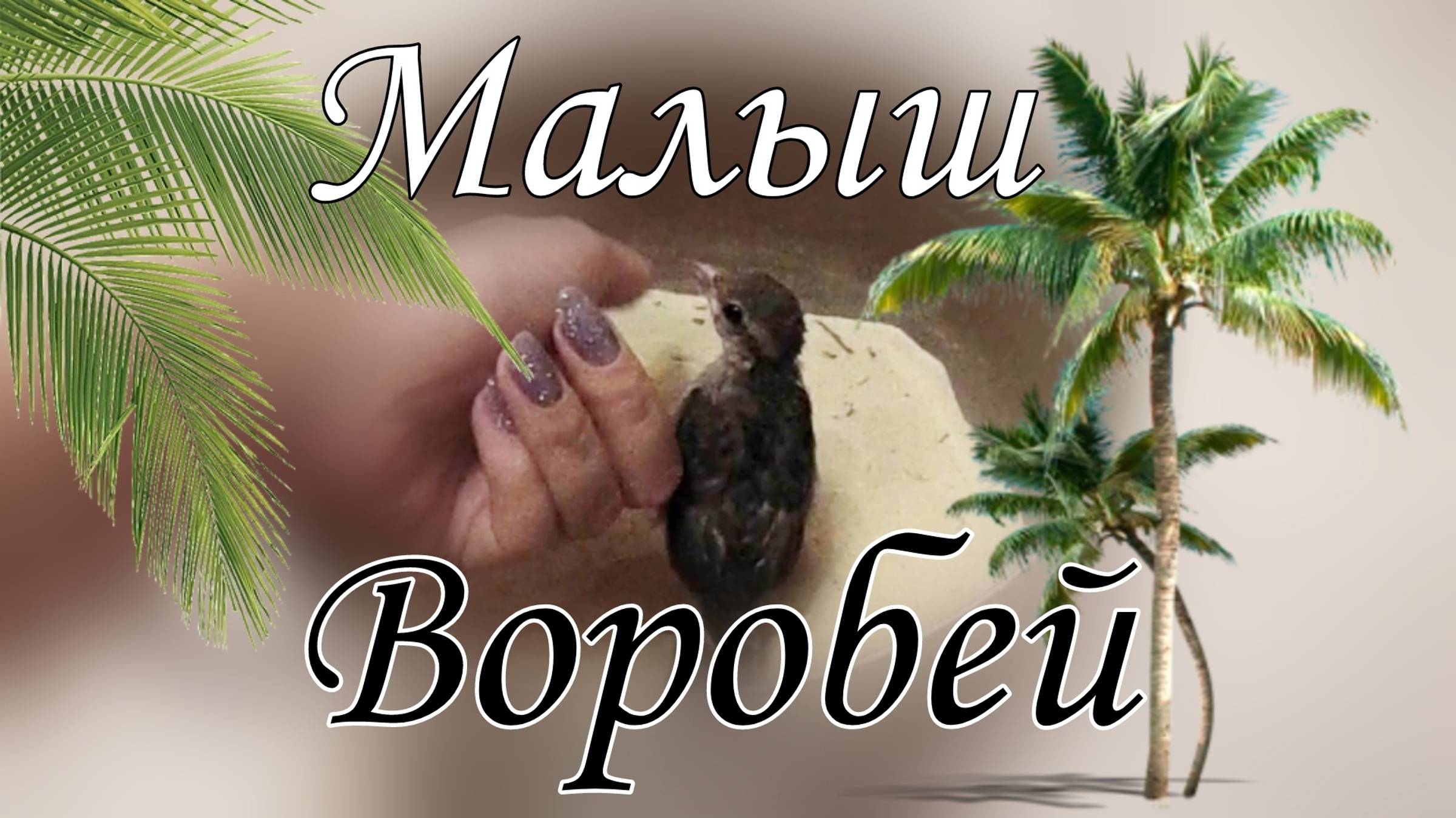 Приручаем ПТЕНЦА ВОРОБЬЯ к песку! Вторая попытка....