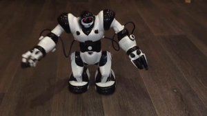 Робот Тиктоник