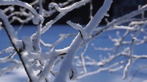 Sony Alpha 77 & Sony DT 16-50 mm  F2.8 SSM Objektiv