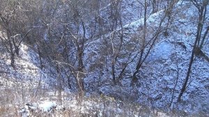 Взрываем петарды. Взрываем петарды в заброшенном карьере. Мощные патарды.