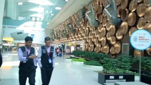 Из Индии в Непал! Начинаем Наше Путешествие! Непал 2025