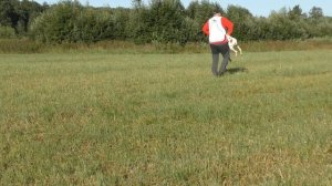 8. НАТАСКА ЛЕГАВЫХ / ГОНЬБА часть1