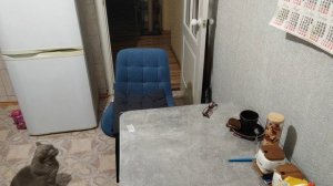 1 февраля.Срочно надо вымыть холодильник.