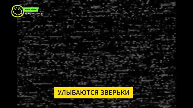ЧАС РАДОСТИ УЛЫБАЮЩИХСЯ ТВАРЕЙ ПЕСНЯ КЛИП smiling critters