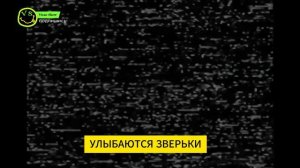 ЧАС РАДОСТИ УЛЫБАЮЩИХСЯ ТВАРЕЙ ПЕСНЯ КЛИП smiling critters