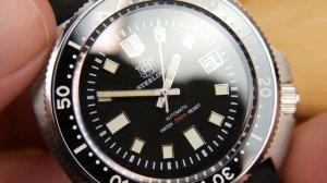 Steeldive SD1970 Seiko Willard Homage I The Best Dive Watch Under $100