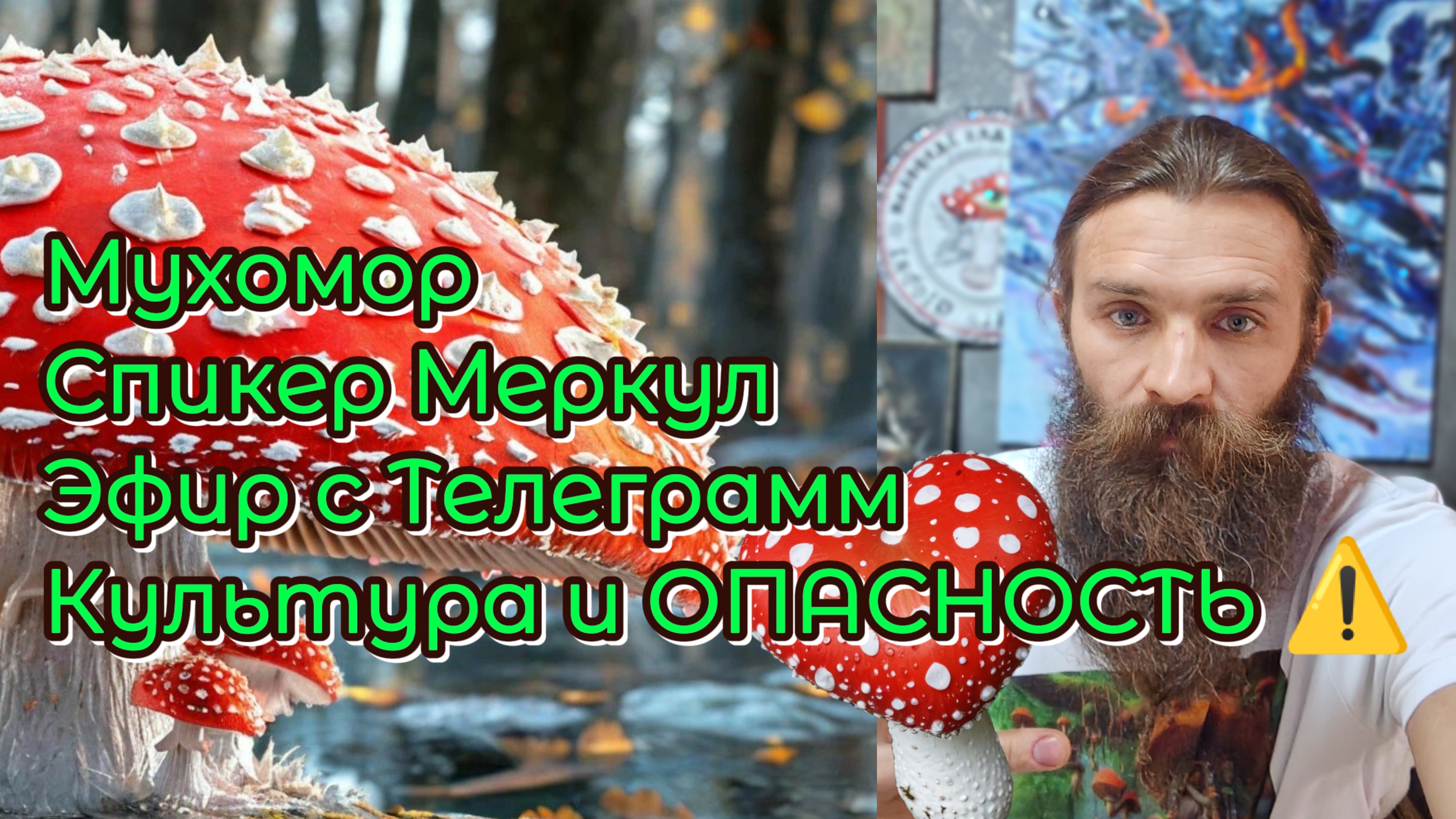 Меркул МахАмар - опасность и Культура употребления Шаманских Красных союзников в белую точку на шляп