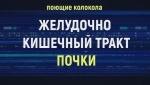 ИСЦЕЛЕНИЕ  ЖКТ И ПОЧЕК ЗВУКАМИ ПОЮЩИХ ТИБЕТСКИХ ЧАШ