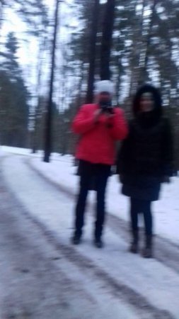 Город Зеленогорск Курортного  района Санкт-Петербурга