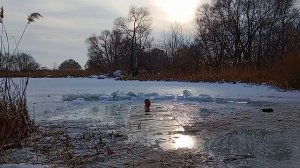 🧊 🧊 🧊 Моржевание,❄️❄️❄️ Закаливание 🧊🧊🧊