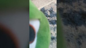 VID_20250201_154910.mp4