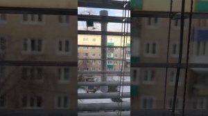 Обзор уличных термометров.mp4