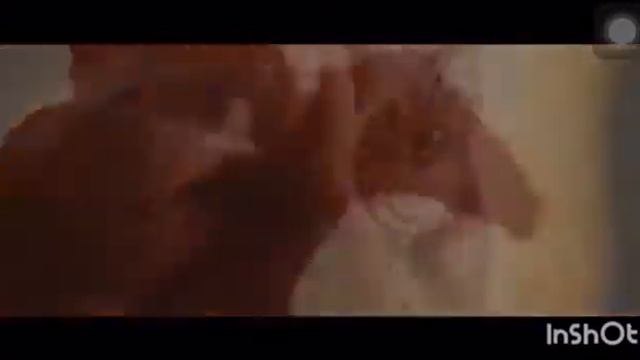 Артық Аружан «Менің Отаным — Қазақстан!» жобасы аясында. смотреть онлайн