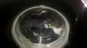 POWER STEAM WASH PROGRAM DEMO | IFB SENATOR WSS STEAM FRONT LOAD WASHING MACHINE | STEAM WASH