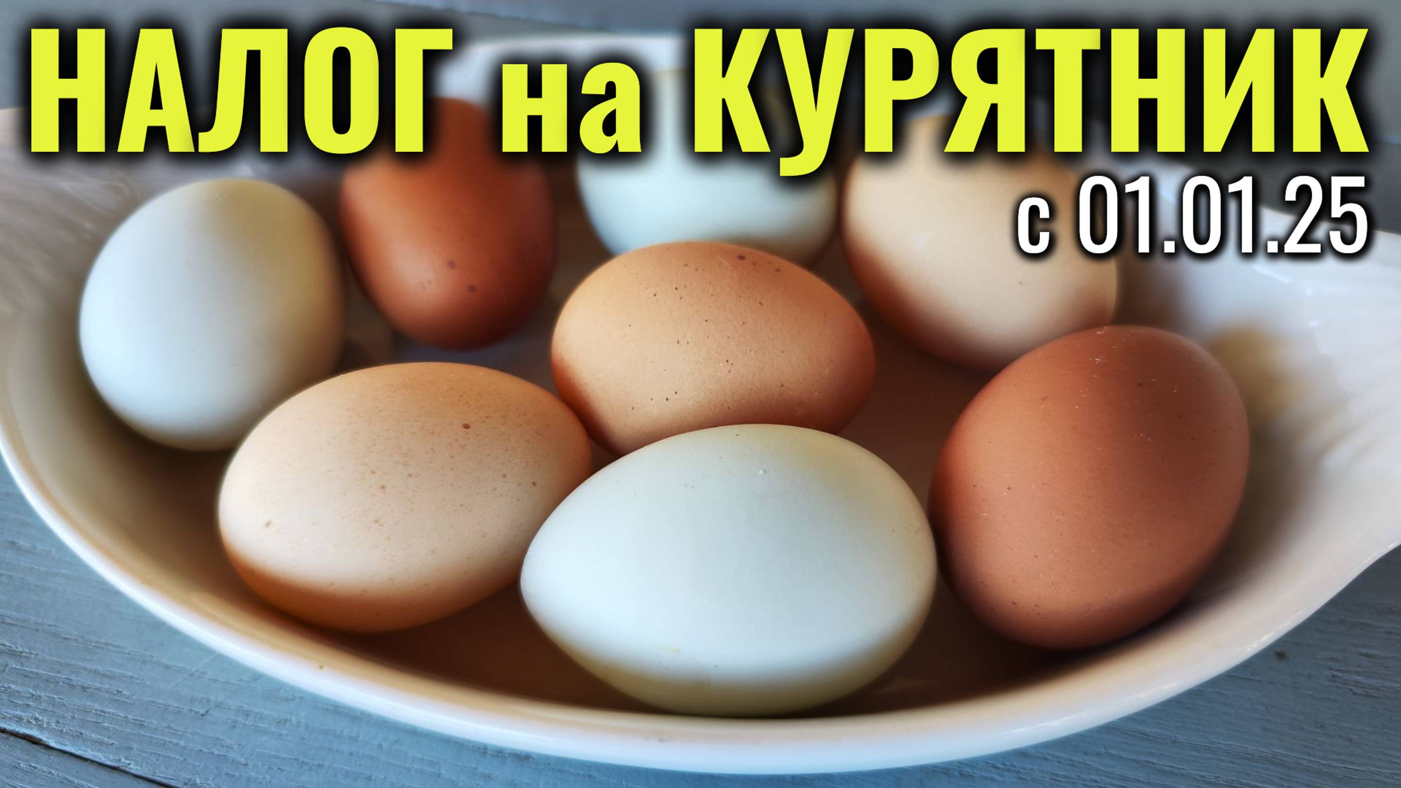 Новый НАЛОГ НА КУРЯТНИК с 1 января 2025 года #курятникнадаче #мастерhouse