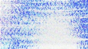 Дельфин-Ленин в кепке