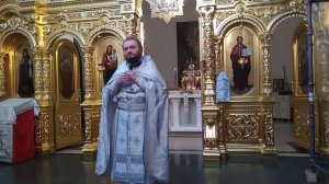 КАК НЕ ОТУПЕТЬ. Отец Савва (Мажуко)