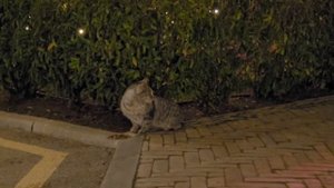 Ялта в январе🎄🎀✨️