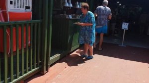 Дельфин Палас обзор часть 2( Delphin Palase)