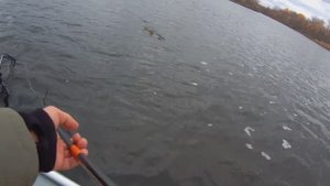 Вываживание трофейной щуки!🔥🎣