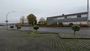 Kustorez. Bush cutting and lawn mowing