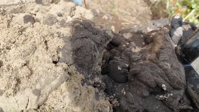 Абиссинская скважина в Ногинском районе смотреть онлайн