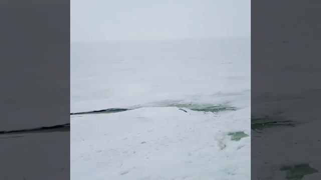 Город Зеленогорск, Курортный район Санкт-Петербурга смотреть онлайн