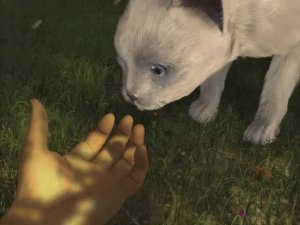 Divine Divinity. Рождение легенды - Вступление