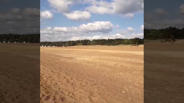 Город Зеленогорск, Курортный район Санкт-Петербурга смотреть онлайн