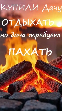 Припев к новой песне: Купили дачу отдыхать, но дача требует пахать. #дача#огород#купилидачуотдыхать
