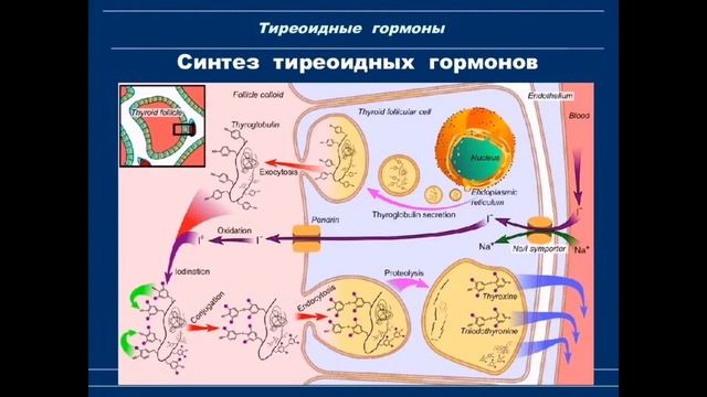 Биохимия
