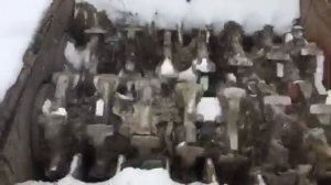 Hammel VB750D - 2001 Wellen