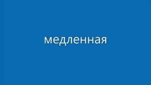 коты танцуют под куми куми хаба хаба лака лака