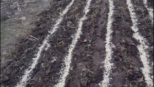 Мой день в деревне. Прополка и посадка огорода в марте. Уход за животными