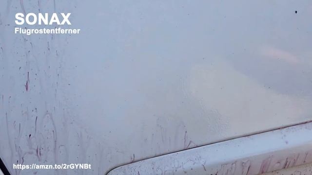 SONAX Flugrostentferner - Zwergenwerkstatt